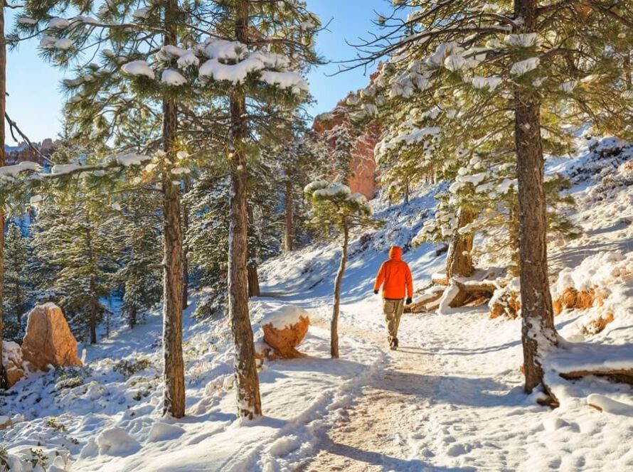 winter hikes in uttarakhand