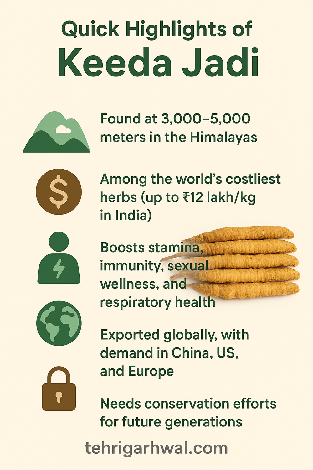 Keeda Jadi quick highlights