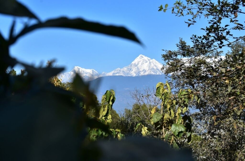 Nainital snow view point